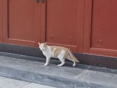 -北京颐和宾馆