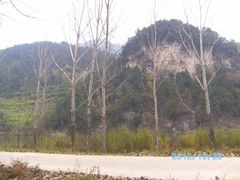 -牛郎织女景区