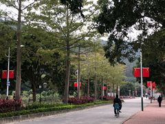 -风云岭森林公园