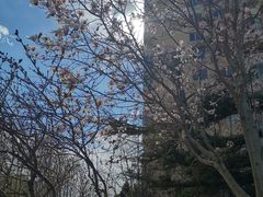 -名创优品(北京新中关购物中心地铁层店)