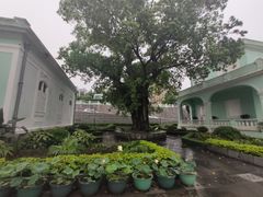 -龙环葡韵住宅式博物馆