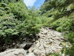 -青峰峡国家森林公园