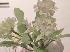 -大鸭梨烤鸭(枣园店)