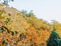 -南翠屏公园