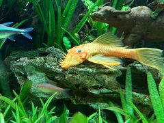 -太平洋海底世界