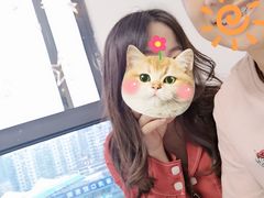 -团子家猫咪猫咖馆·柯基·柯尔鸭