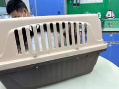 -瑞派动物医院·猫专科·至诚(江南中分院)