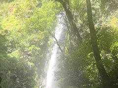 -莫里热带雨林景区