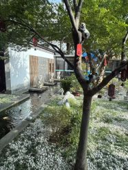 -保丽宝泰母婴护理院·月子中心·产康·中医(常州店)