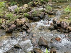 -广州白江湖森林公园