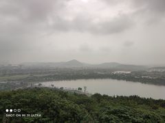 -羊山湖公园