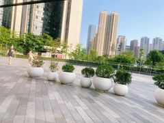 窗外风景-奈雪的茶(南山大冲一期店)