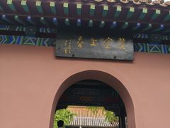 -戏马台景区