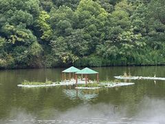 -天生桥景区