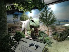 -国家自然博物馆