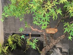 -大榕树下顺德菜(融创茂店)