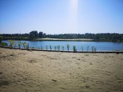 -东郊湿地公园