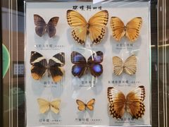-蝴蝶泉公园