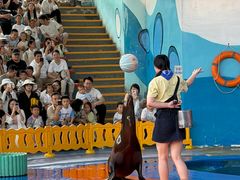 -海合安武汉极地海洋公园