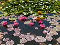-国家植物园南园