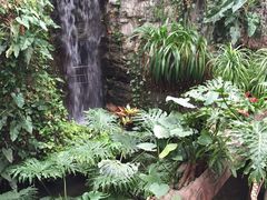 -北京植物园-展览温室