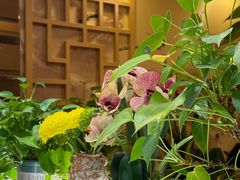 -雅酌园百姓菜馆(颐和路店)