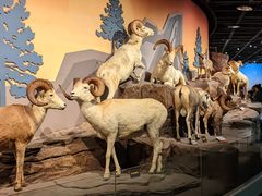 -陕西自然博物馆