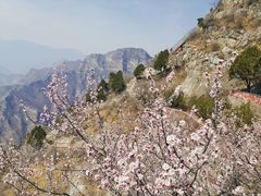 -圣莲山风景区