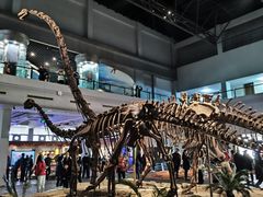 -自贡恐龙博物馆