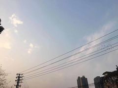 -白鹭湾湿地公园