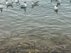 -青海湖二郎剑景区