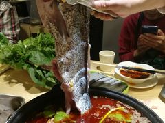 -香坝坝鲜鱼火锅(春熙路店)