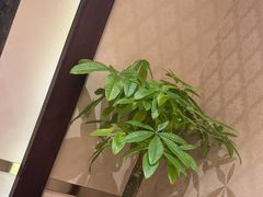 -沪碟·精菜坊(闵行店)