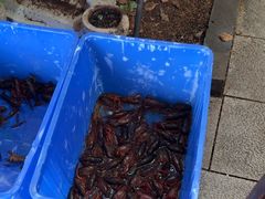 -李东农庄(中南百草园地标店)