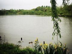 怡沁园度假村-上海怡沁园度假酒店