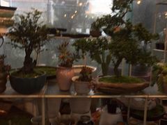 -卜蜂莲花(杨高南路店)