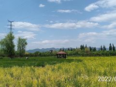 -永定河休闲森林公园