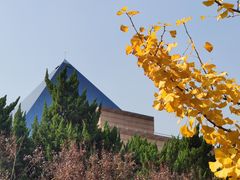 -上海市龙华烈士陵园