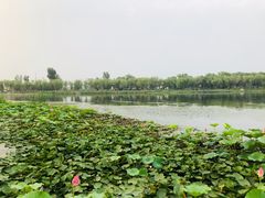 -素心小筑(后沙裕镇店)