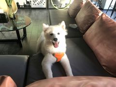 -CIAO·团建聚餐·生日派对轰趴馆(福田店)