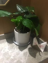 点击看大图 -苑苑vbeauty科技美容SPA