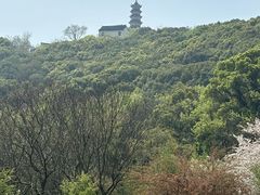 -苏州上方山国家森林公园