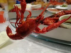 -茸梅路右拐龙虾-农家菜(松江店)