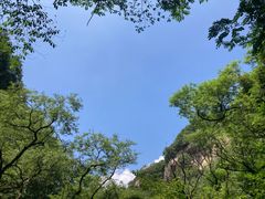 -少华山国家森林公园