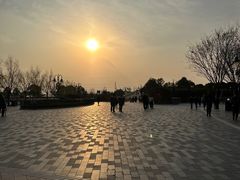 -迪士尼乐园停车场