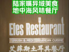 -Efes Turkish & Mediterranean Cuisine 艾菲斯餐厅(陆家嘴店)