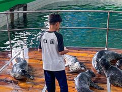 -西霞口神雕山野生动物世界