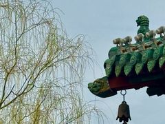 -迎泽公园
