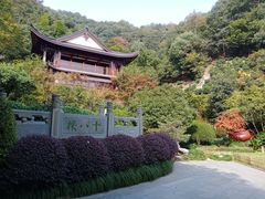 -十八棵（老龙井）御茶园(老龙井店)