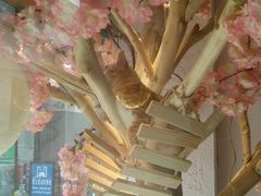 -喵屿·大理花园猫咖